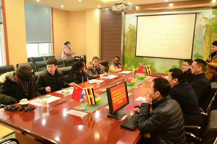 在會議室探討糧食加工工藝 在會議室探討糧食加工工藝