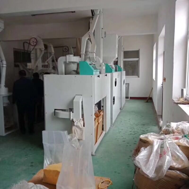 8.8玉米加工機組客戶現場實拍