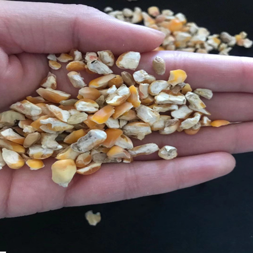 雞飼料_副本 雞飼料_副本