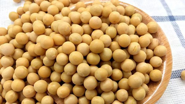 黃豆 黃豆