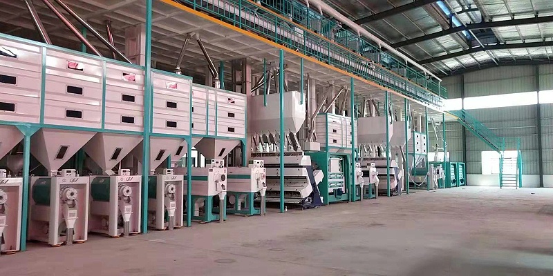 大米生產線1 大米生產線1